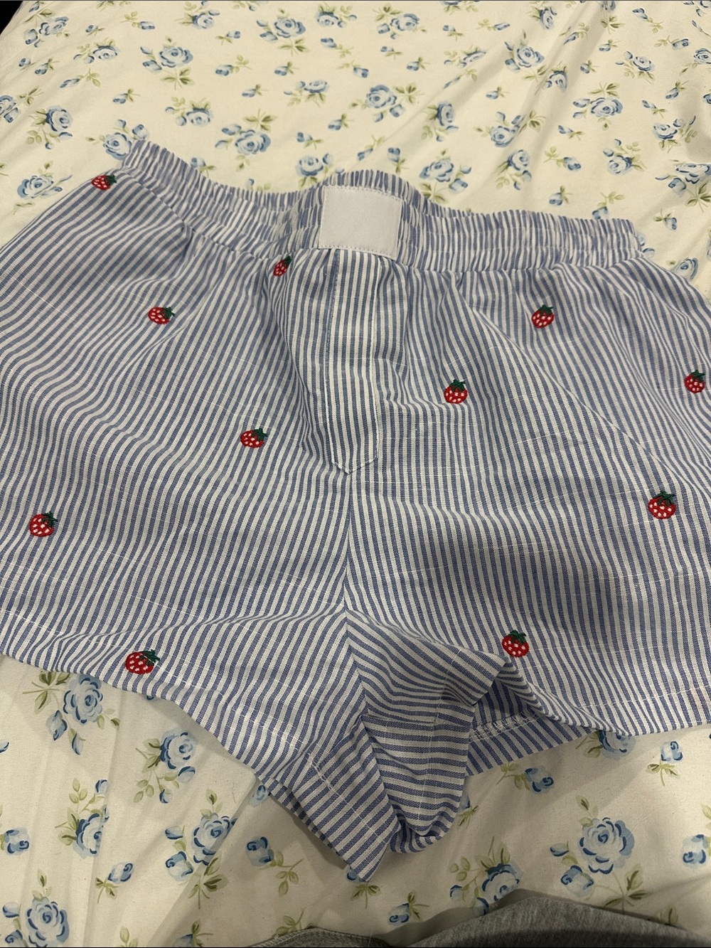 Blue Stripe Embroidered Strawberry Women’s Shorts